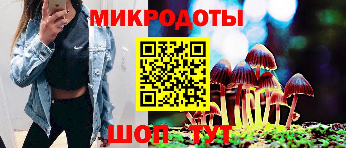 Псилоцибиновые грибы GOLDEN TEACHER Владикавказ